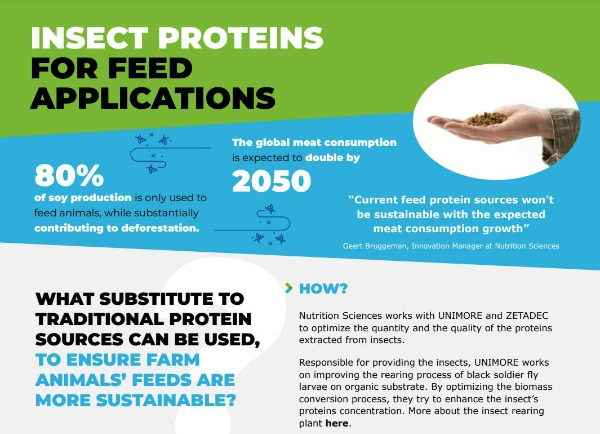 SCALIBUR project_Insect proteins for feed applications