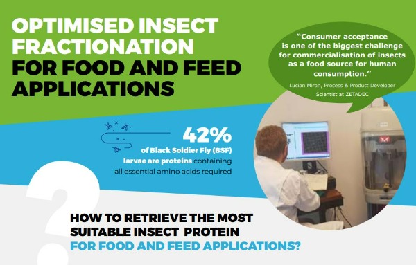 SCALIBUR project_Optimised insect fractionation for food and feed applications