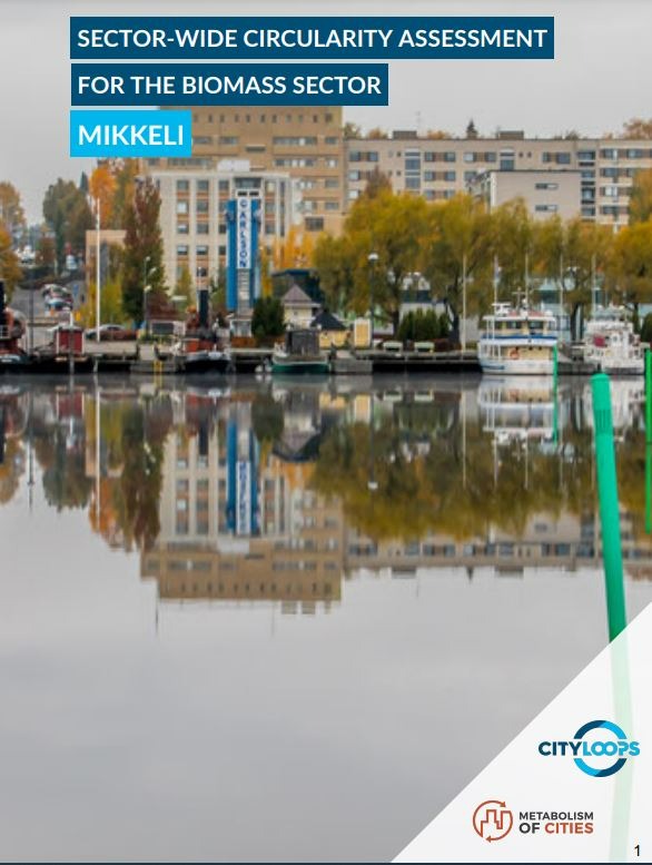 City Loops_Mikkeli (Finland): Sector-wide circularity assessment for the biomass sector