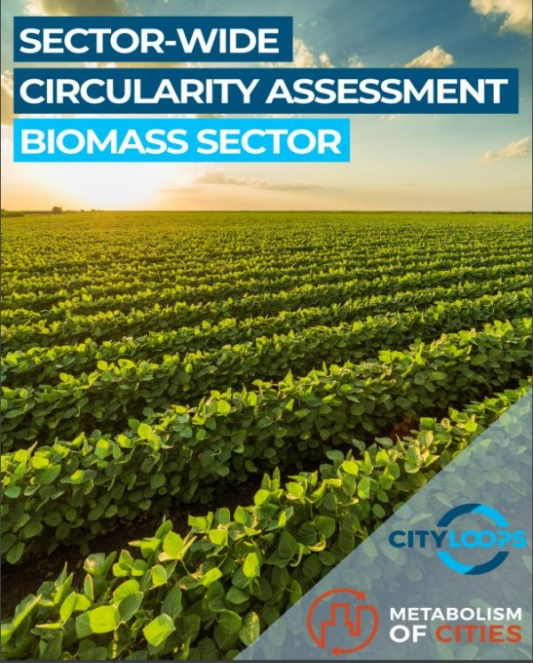 City Loops project_Sector-wide circularity assessment. Biomass sector